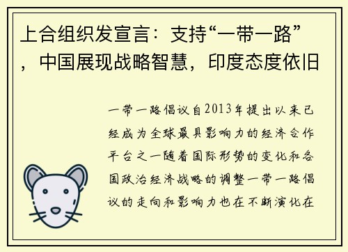 上合组织发宣言：支持“一带一路”，中国展现战略智慧，印度态度依旧保守